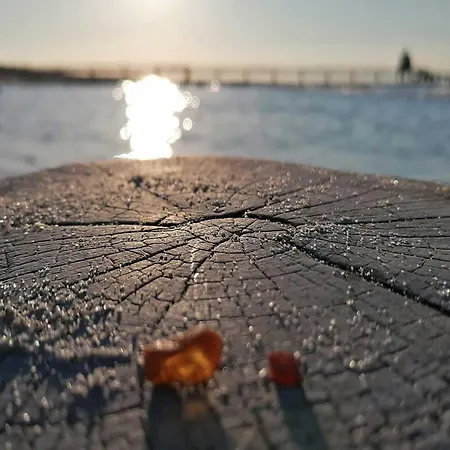 Meeresbrise Im Ostseeheilbad Appartement Zingst