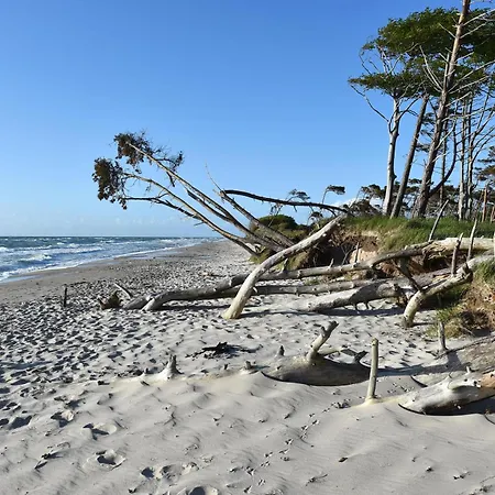 Meeresbrise Im Ostseeheilbad