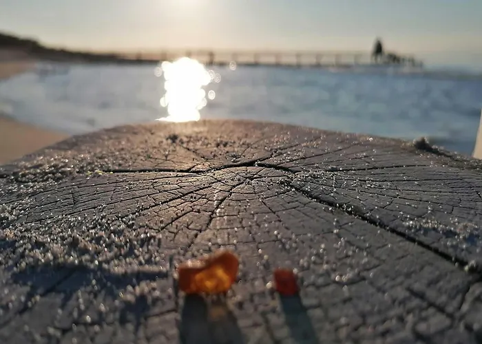 Meeresbrise Im Ostseeheilbad Apartman Zingst