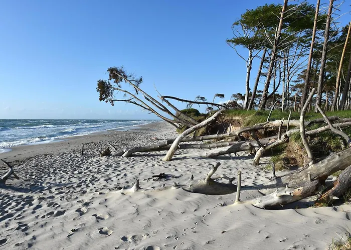 Meeresbrise Im Ostseeheilbad